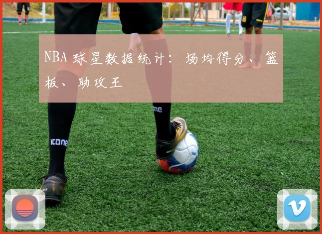 NBA 球星数据统计:场均得分、篮板、助攻王